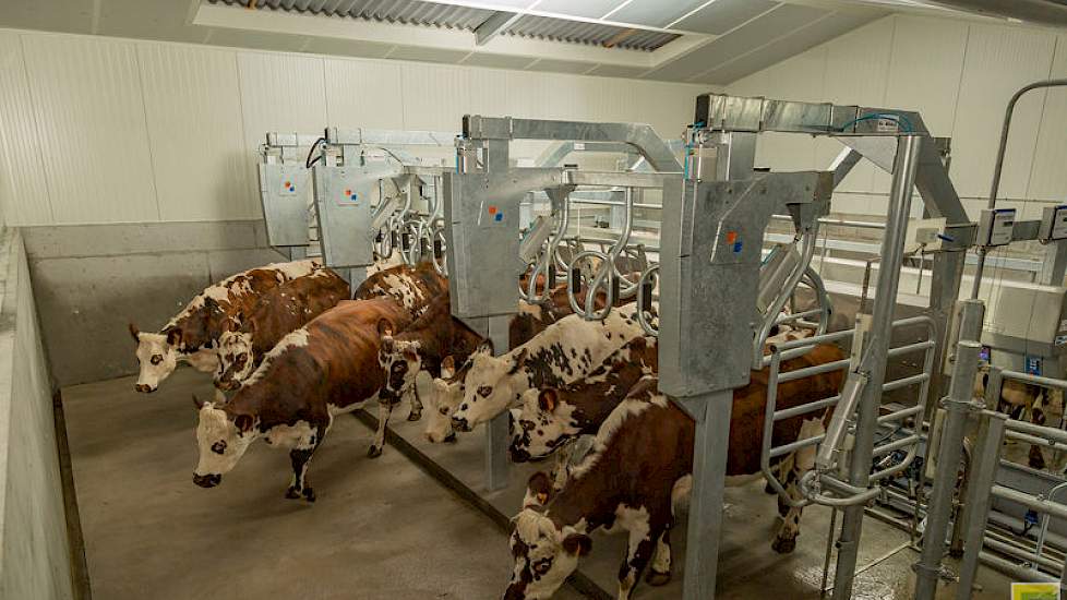 Het melkwinningsmerk BouMatic is nadrukkelijk aanwezig op de show en in de Franse vakpers. Bijvoorbeeld met het Smartway 90 rapid exit snelwisselsysteem voor zij-aan-zijmelkstallen.