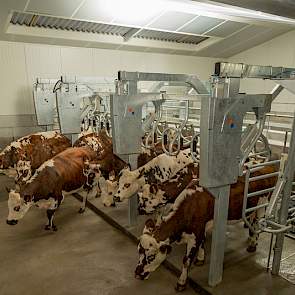 Het melkwinningsmerk BouMatic is nadrukkelijk aanwezig op de show en in de Franse vakpers. Bijvoorbeeld met het Smartway 90 rapid exit snelwisselsysteem voor zij-aan-zijmelkstallen.