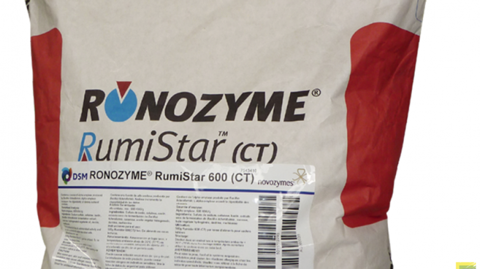 DSM additieven haalt de Franse pers met het enzym Ronozyme Rumistar, dat de benutting van zetmeel uit snijmaïs vergroot. Het is erkend door de Europese voedselautoriteit EFSA.