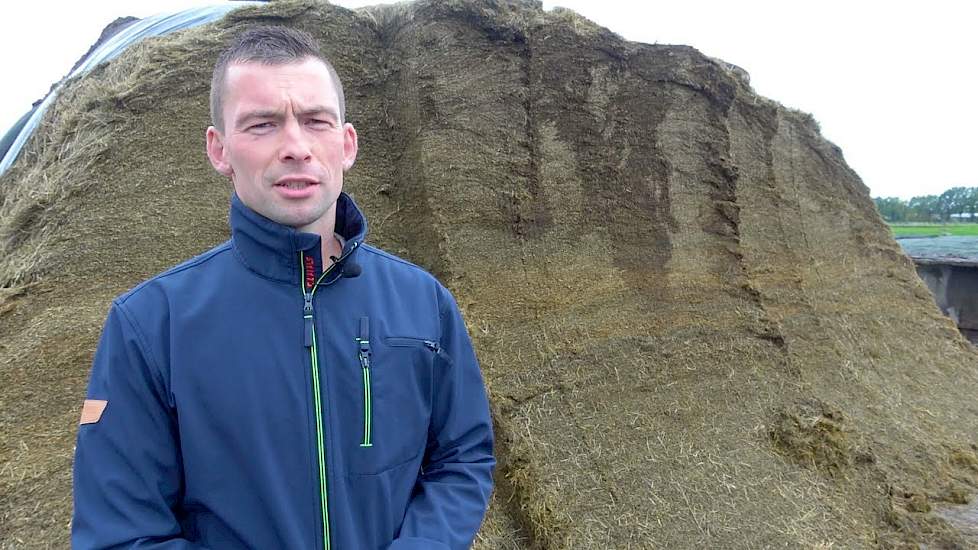 Topkuilfinalist Polinder melkt hard met veel ruwvoer - www.melkvee.nl