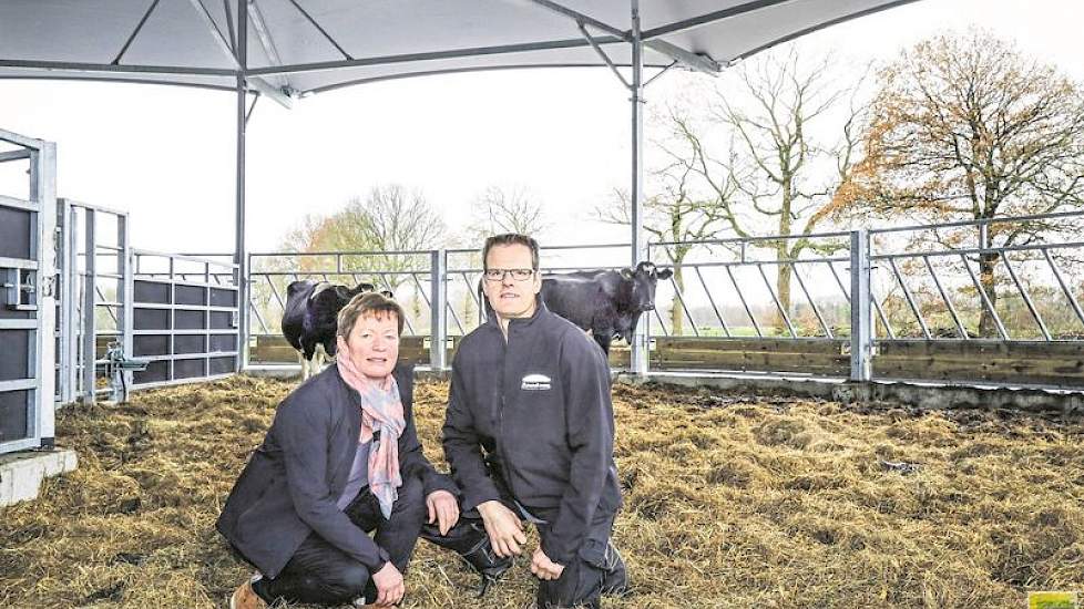 Dory (56) en Theo (58) van der Gun in het roundhouse, dat ze als ‘overdekt buiten’ ervaren. “Deze stal is diervriendelijk en past bij ons. Het roundhouse benadert van alle staltypes de natuurlijke omstandigheden het beste. Koeien kalveren daardoor makkeli