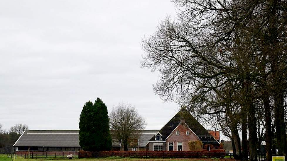 De uit 1885 daterende Friese stelpboerderij in Oldeberkoop werd achttien jaar geleden door de van oorsprong Utrechtse Theo en Dory van der Gun betrokken. De stelp heeft een inpandige kaasmakerij, ontvangstruimte en boerderijwinkel en trekt veel bezoekers.