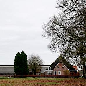 De uit 1885 daterende Friese stelpboerderij in Oldeberkoop werd achttien jaar geleden door de van oorsprong Utrechtse Theo en Dory van der Gun betrokken. De stelp heeft een inpandige kaasmakerij, ontvangstruimte en boerderijwinkel en trekt veel bezoekers.