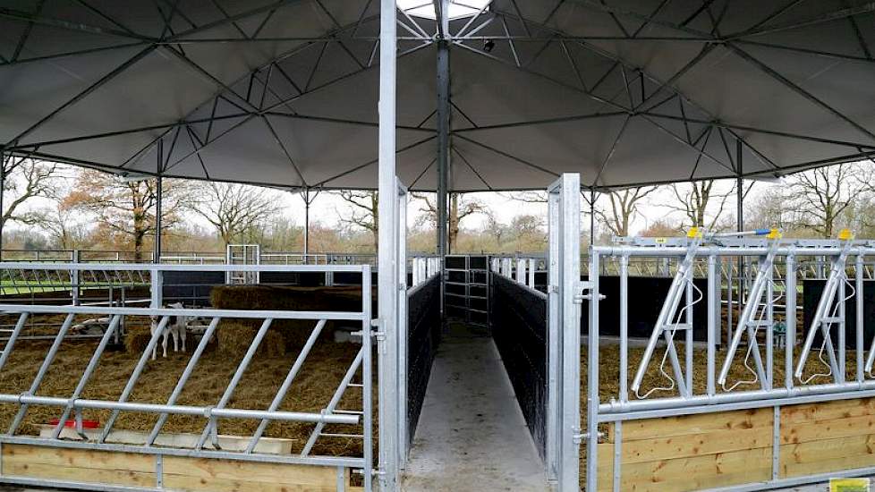 Het roundhouse heeft een drijfgang, die uitkomt in het midden. Kalfkoeien kunnen via een zijdeur in de naastgelegen schuur over een betonpad de drijfgang worden binnengeleid. In het midden is elke afzonderlijke afdeling van de stal eenvoudig met een hek t