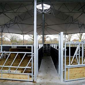 Het roundhouse heeft een drijfgang, die uitkomt in het midden. Kalfkoeien kunnen via een zijdeur in de naastgelegen schuur over een betonpad de drijfgang worden binnengeleid. In het midden is elke afzonderlijke afdeling van de stal eenvoudig met een hek t