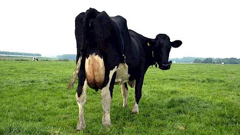 Hoe hoog is de eurojackpot