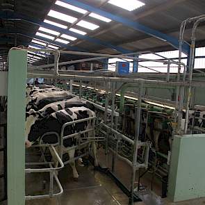 60% van de melk gaat rechtstreeks het pak in. Dat is de reden dat melkfabrieken uitbetalen op liters en niet op gehalten. Ook deze markt verandert. De huidige melkprijs van &euro;0,45 (september 2014) is gebaseerd op een standaard van 4,00% vet en 3,20% eiwit.