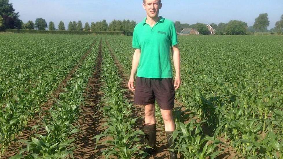Sander in zijn LG 30.215 in Wehl, die dit dubbeldoelras teelt voor de CCM voor zijn varkens