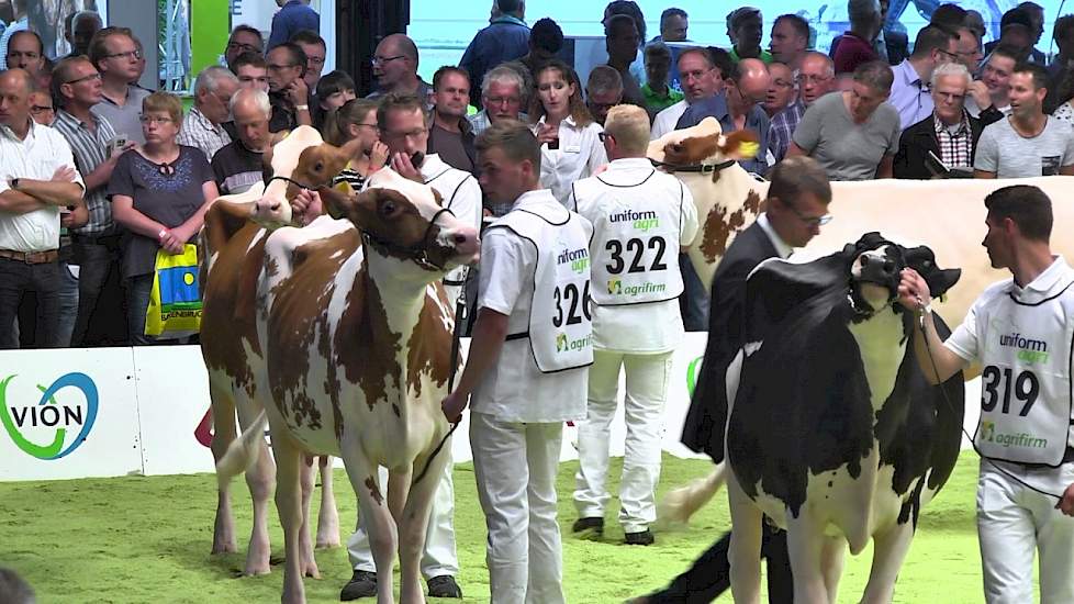 Dochtergroep Swissbec Brekem, Semex