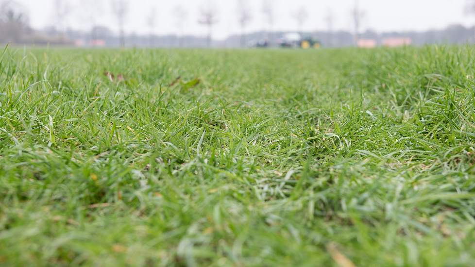 Doel van het project is om ervoor te zorgen dat boeren in een bepaalde regio hun eigen mestoverschot kunnen hergebruiken en dat zij geen kunstmest meer hoeven aan te kopen.