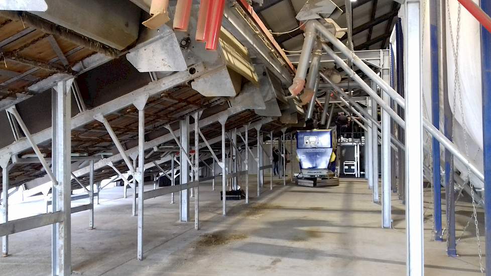 Achter de wachtruimtes bevinden zich de voerbunkers voor de voerrobot. De koeien krijgen voornamelijk snijmaïs, aangevuld met luzerne en grassilage en losse droge grondstoffen.