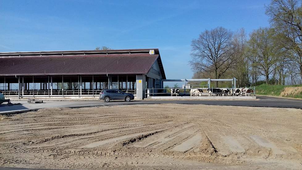 Zowel aan de voor- als aan de achterkant van de stal is een uitloop gecreëerd. Dit is vanuit maatschappelijk oogpunt en het levert een premie op.