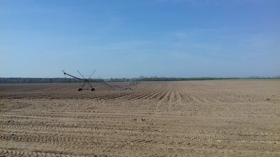 Naast de melkveehouderij heeft de landbouwcoöperatie ook een akkerbouwtak en een varkenstak. Dit alles wordt rond gezet met 70 arbeiders. In totaal omvat het bedrijf 4.330 hectare grond. Een deel daarvan wordt beregend met 11 grote beregeningsinstallaties