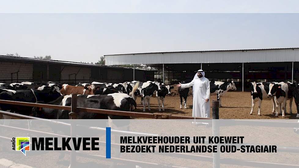 Melkveehouder uit Koeweit bezoekt Nederlandse oud stagiair