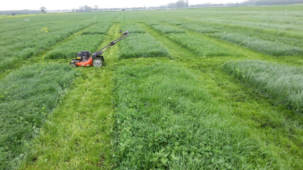 Tijdens het groeiseizoen is wekelijks de grashoogte en bodemtemperatuur gemonitord.  Daarnaast zijn de weergegevens verzameld, zoals zonuren, neerslag en gemiddelde omgevingstemperatuur.  De ruimten tussen de proefveldjes met verschillende N-giften zijn v