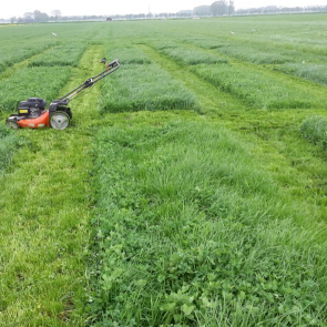 Tijdens het groeiseizoen is wekelijks de grashoogte en bodemtemperatuur gemonitord.  Daarnaast zijn de weergegevens verzameld, zoals zonuren, neerslag en gemiddelde omgevingstemperatuur.  De ruimten tussen de proefveldjes met verschillende N-giften zijn v