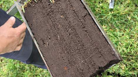 Kennis van bodem, mest en kuil omzetten in een bemestingsplan op maat - Melkvee