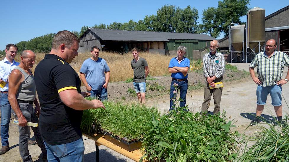 Pieter Vos van Barenbrug demonstreerde diverse grasrassen, waaronder een biodiversiteitsmengsel en rietzwenkgras. Dat laatst ras is volgens Vos niet geschikt om te weiden, maar past wel uitstekend in kuilgras en is minder droogtegevoelig.