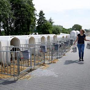 De kalveren lopen in ruime strohokken aan de voorkant van de stal in een afgesloten gedeelte. Alleen de stierkalfjes zitten buiten in iglo’s en krijgen onbeperkt koude koemelk.