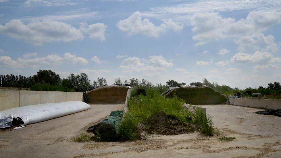 Volgens Kempe heeft grond op de kuil niet veel nut. Goed aanrijden is belangrijker. De loonwerker rijdt het gras met een trekker van 14 ton vast. „Ik ben niet zo’n voorstander van die shovels die door hun knikbesturing op de bult staan te wringen. Onze ku