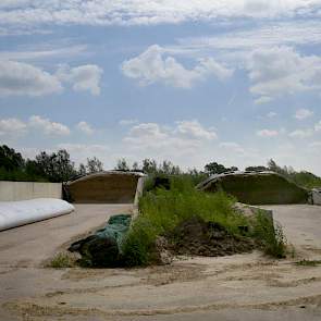 Volgens Kempe heeft grond op de kuil niet veel nut. Goed aanrijden is belangrijker. De loonwerker rijdt het gras met een trekker van 14 ton vast. „Ik ben niet zo’n voorstander van die shovels die door hun knikbesturing op de bult staan te wringen. Onze ku