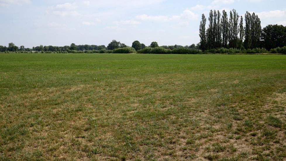 Rond het nieuwe bedrijf ligt 22 hectare grond aan één blok. In totaal is er 45 hectare grond in gebruik waarvan negen hectare maïs en de rest gras. Het was beslist niet de beste grond die ze kochten. „Lage grond met een lappendeken aan perceeltjes met all