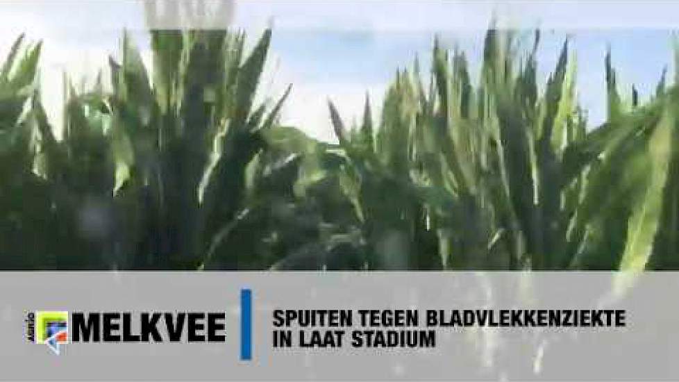 Spuiten tegen bladvlekkenziekte in laat stadium, Topmaisteler Waterink durft het aan