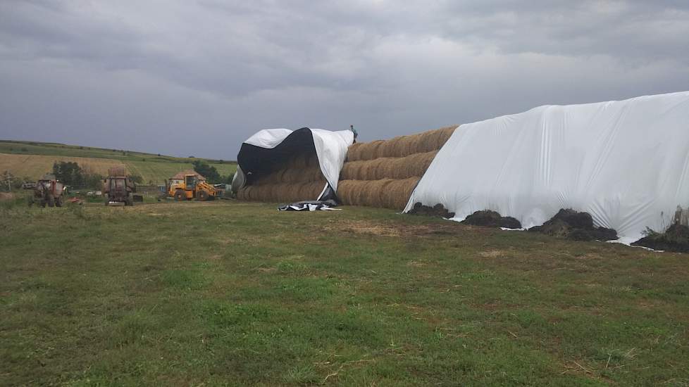 Plastic over de strobalen voor de regen komt
