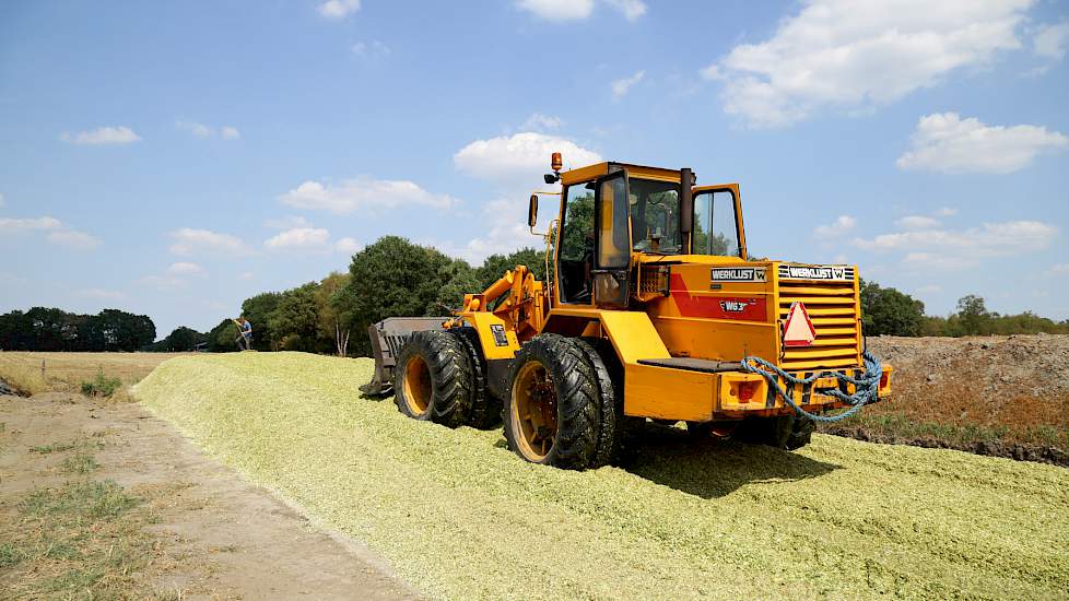 Door de matige hoeveelheid oogst, is Hulshof genoodzaakt extra voer aan te kopen. „Ik heb al perspulp besteld en er is ook een combinatie hooi onderweg. Zo hoop ik de winter door te komen.”