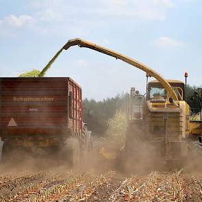 Het is enorm droog op het land van Stephan Hulshof uit Eibergen. Zo droog, dat hij besloot het gewas te oogsten. „Ik vewacht dat de kwaliteit van de snijmaïs alleen maar slechter wordt, wanneer ik het zou laten staan”, zegt hij.